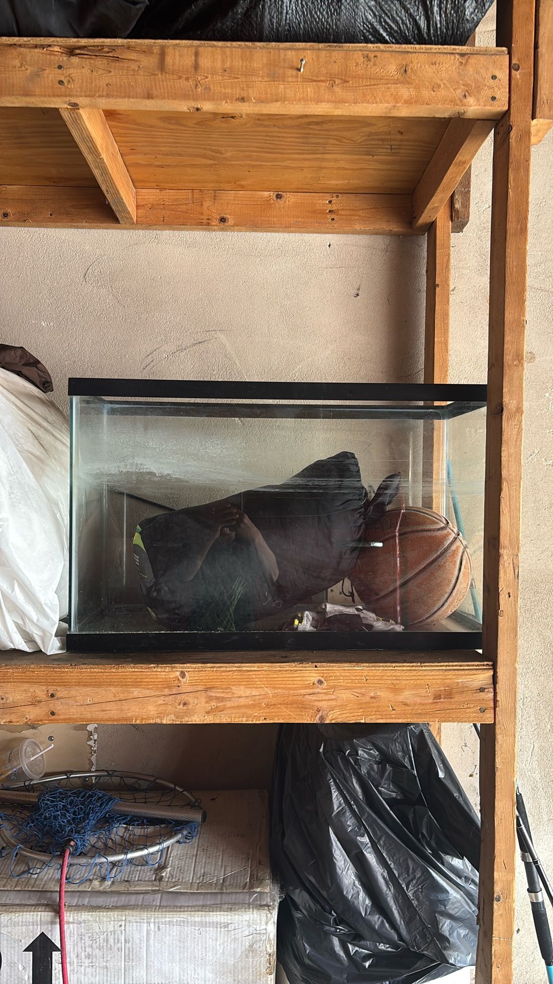 35 Gallon Fish Tank