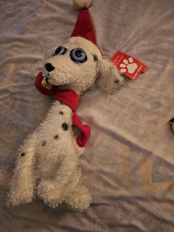Santadog