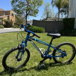 Specialized 20 Inch Mountain Bike