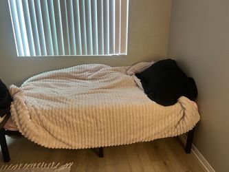 Twin bed frame and mattress