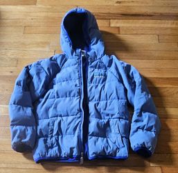 Patagonia Cornflower Blue Cotton Puffer Jacket