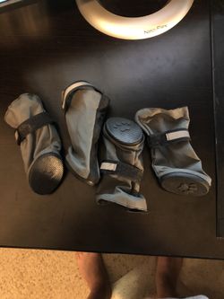 Doggy shoes