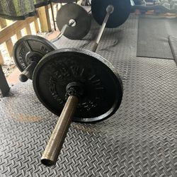 (2) Weider 44 Plates (2) Clamps (1) 45 Bar 