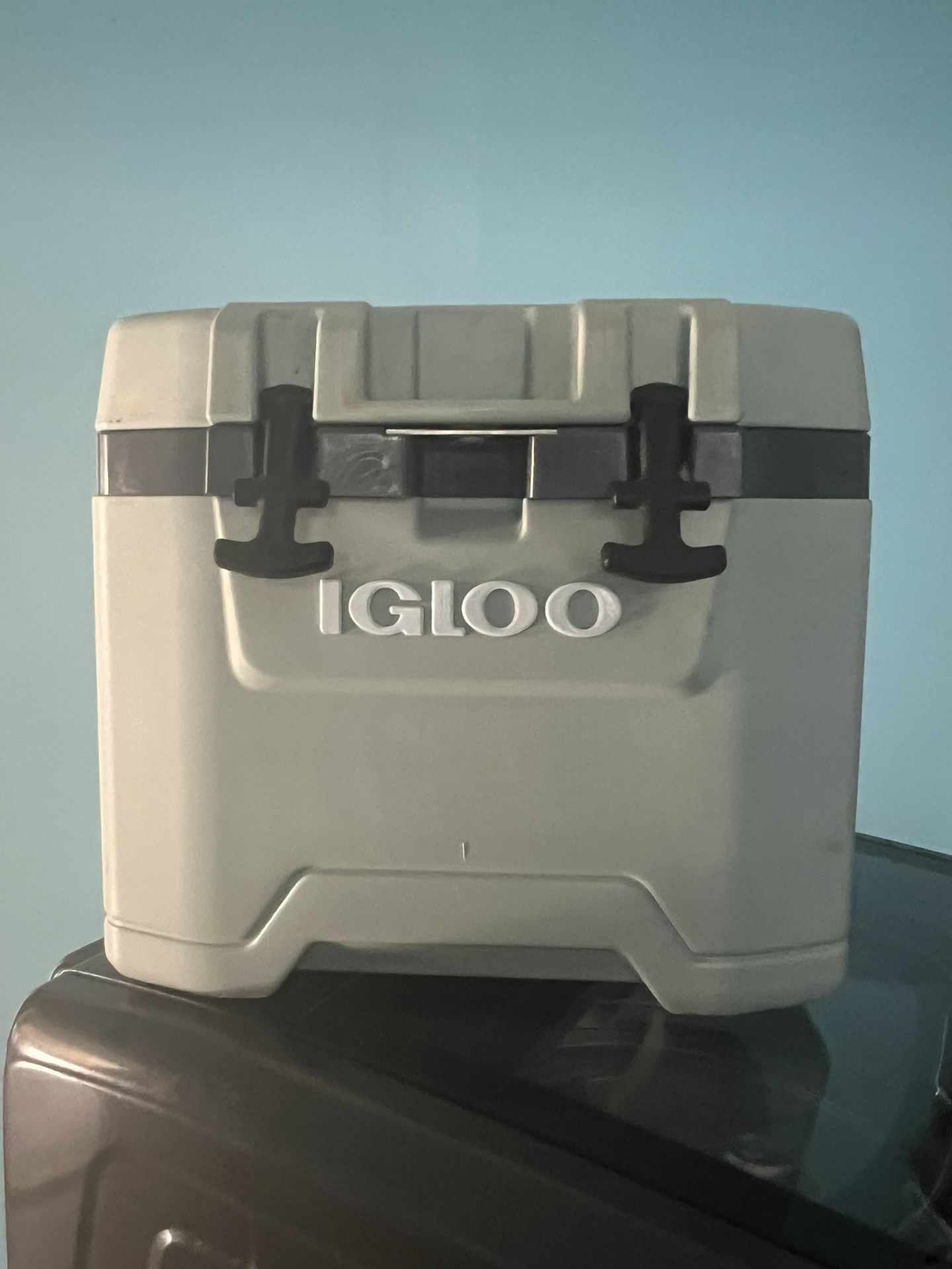 Igloo 10-quart Cooler