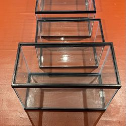 4 Fish Tanks 3 10G 1 20tall 