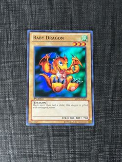Baby dragon