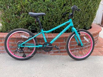 Guardian 20” Large Kids Bike – Aqua/Pink – $225 OBO