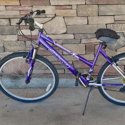 26 Inch Mountain Bicycle 