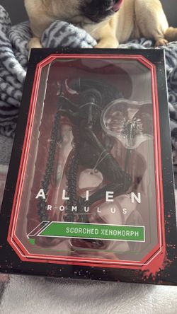 Alien Romulus Scorched Xenomorph