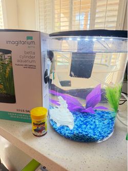 Aquarium with a fish