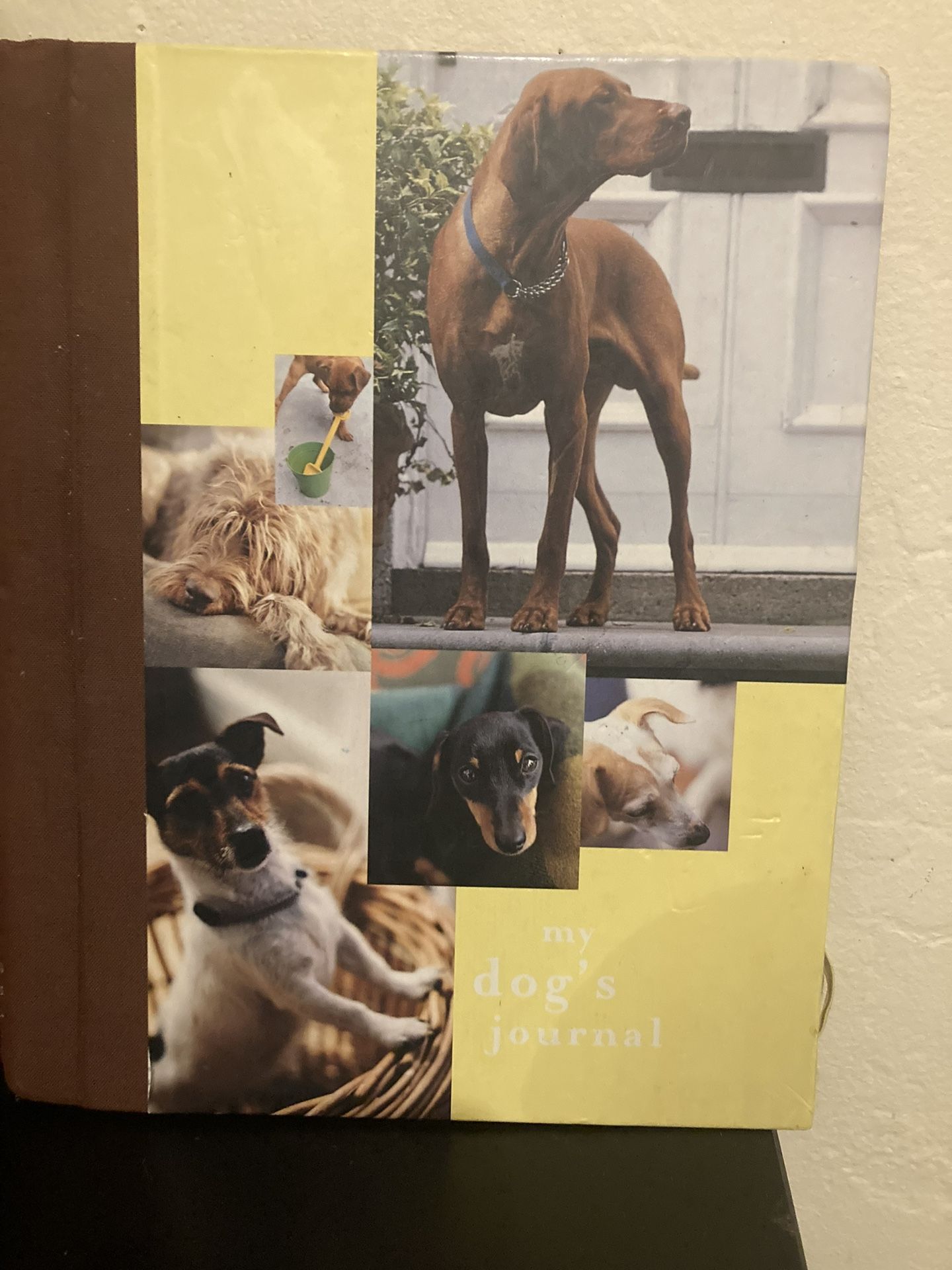 Never Used Dog Journal