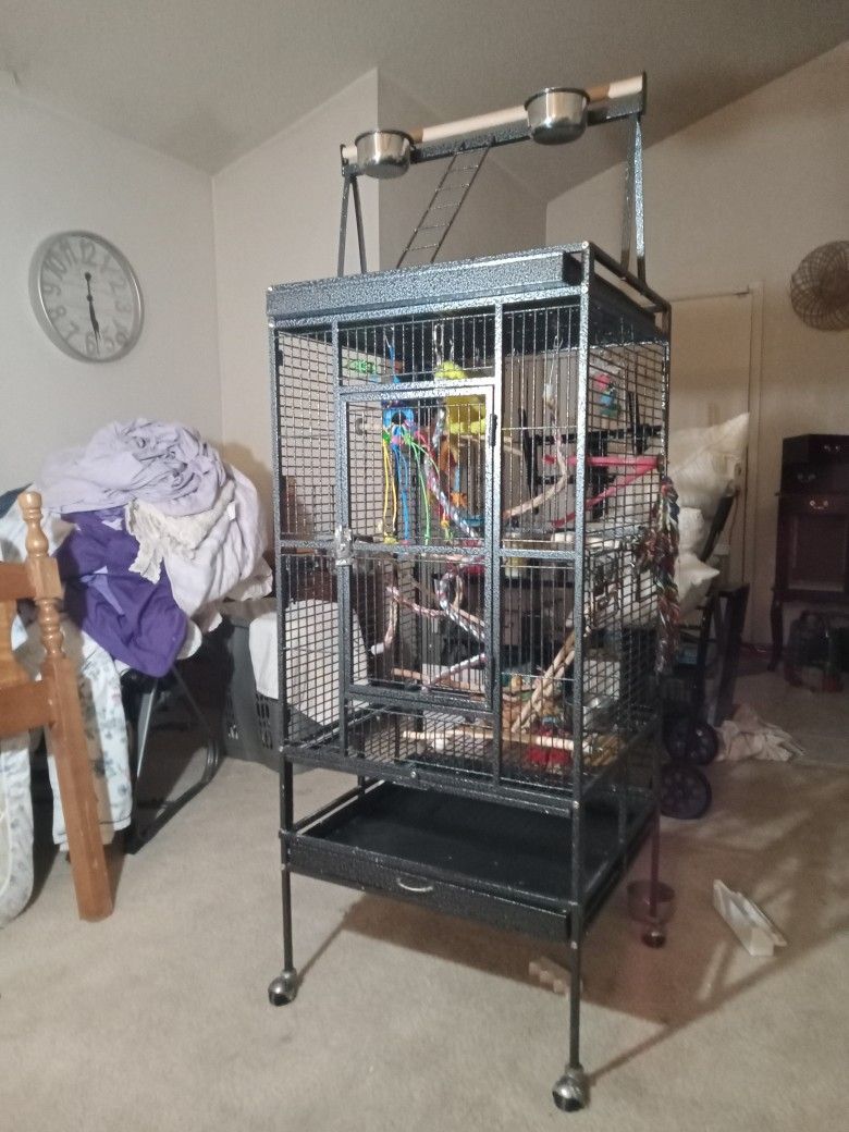5 ft 8 in Metal Bird Cage, Used And In Good Shape. Has The Rooftop For Bird To sit Outside Cage Also.