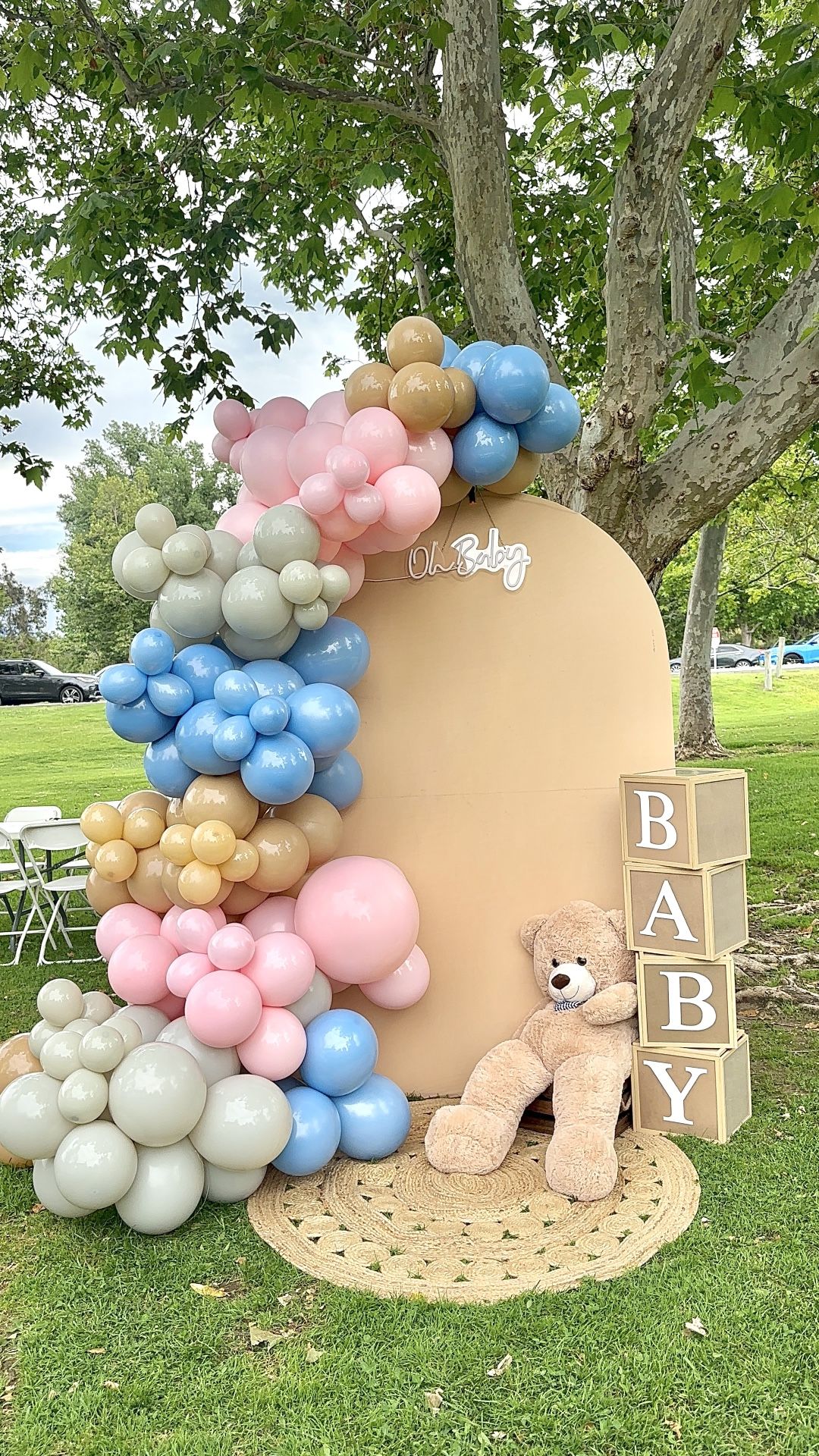 Gender Reveal Backdrop