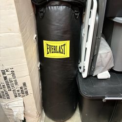 EverLast Punching Bag