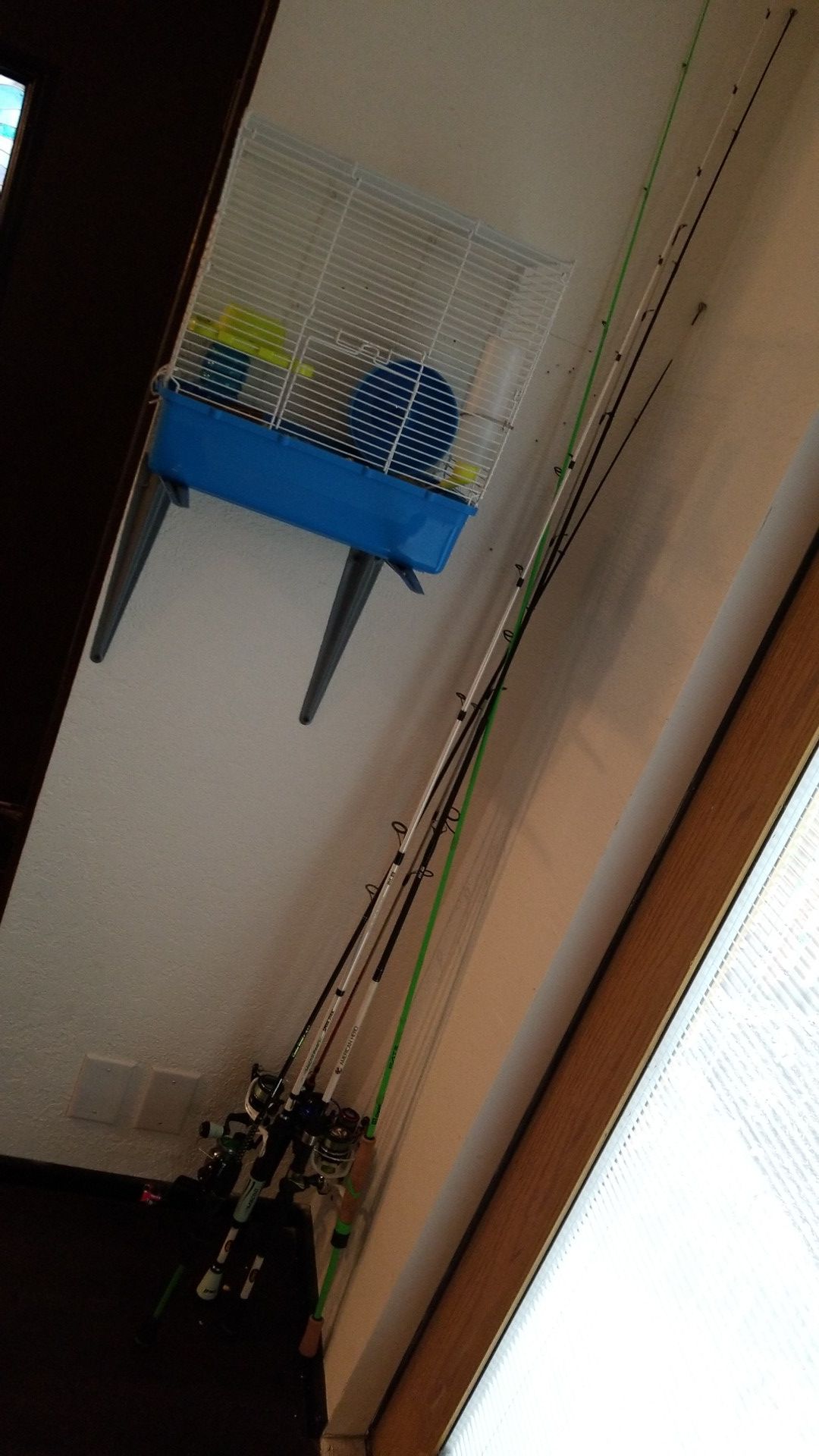 Lews mach 2 pearl spinning combo for Sale in Lynnwood, WA - OfferUp
