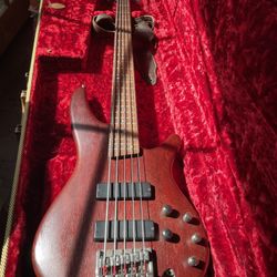 Ibanez 5 String Guitar 