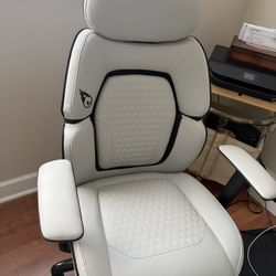 Great Computer Chair Practically Brand New ! 