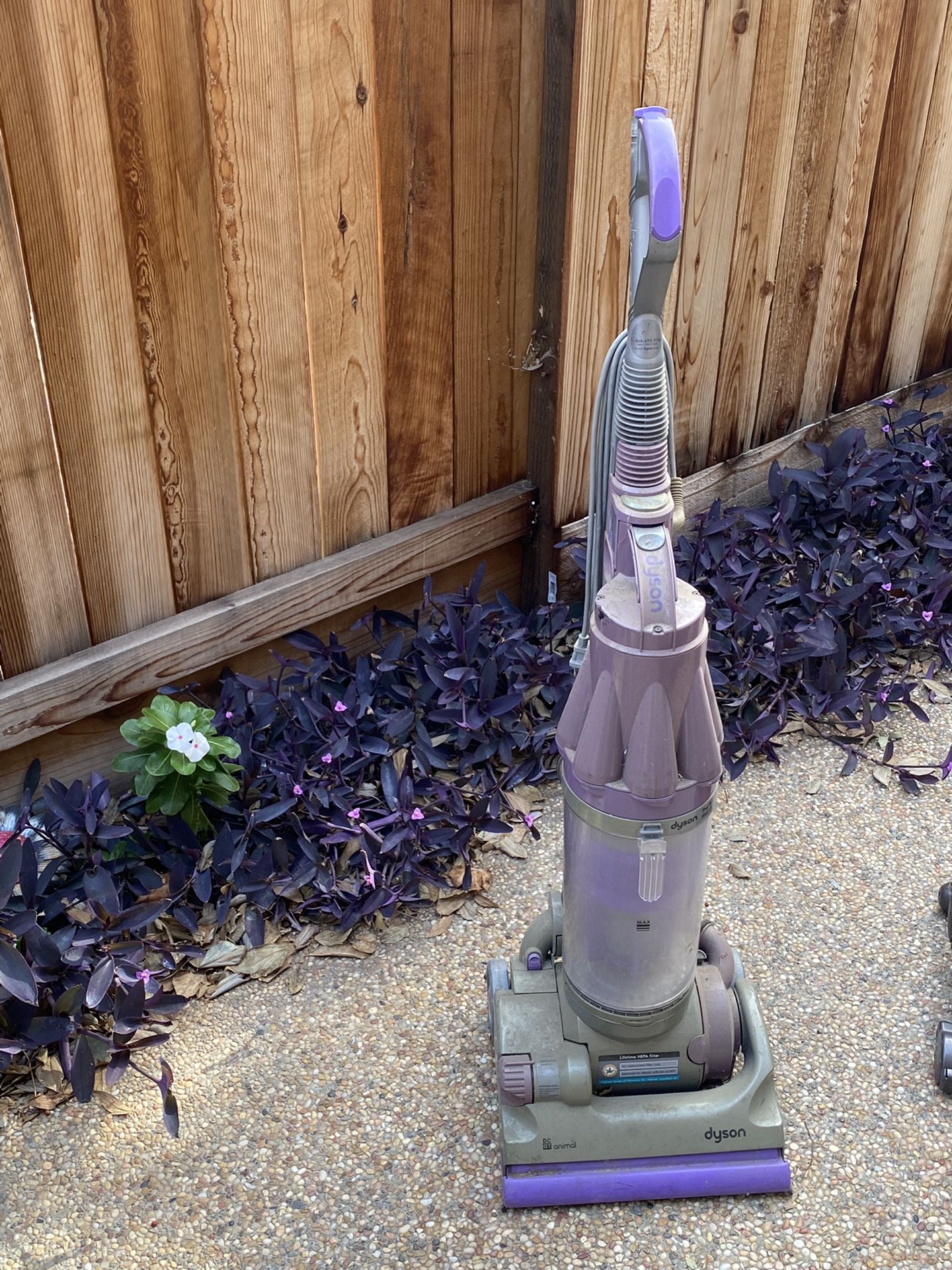 Dyson Vacuum (Purple)