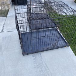 Dog Kennels