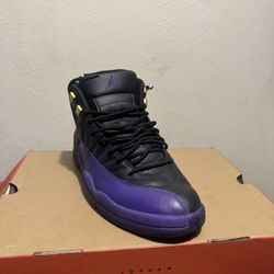 Jordan 12 Purple 