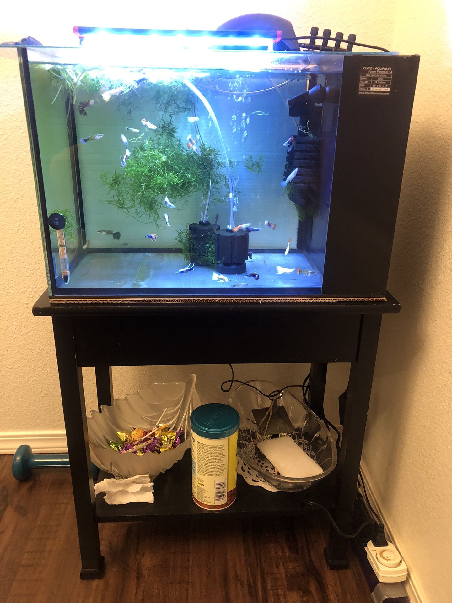 Aquarium Fish Tank Nuvo Fusion Peninsula 14 Gallons