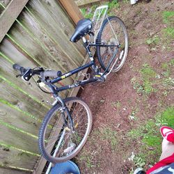 Fuji Thrill Mountain Bike