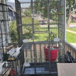 Bird Cage