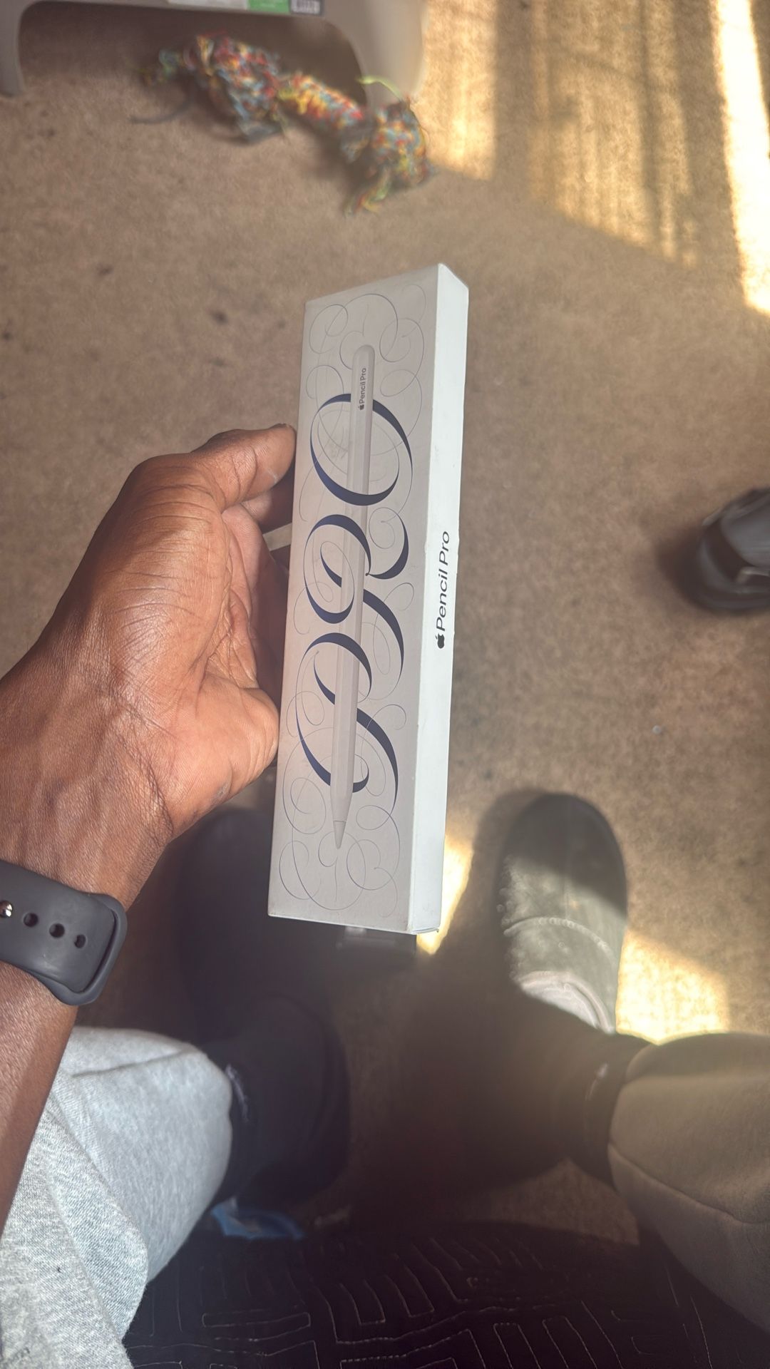 Apple pencil
