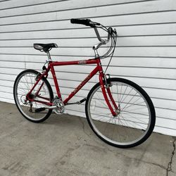 Giant Hybrid Bike