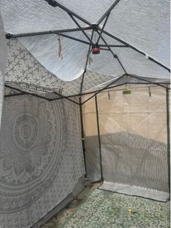 Pop up walk -in Greenhouse Canopy