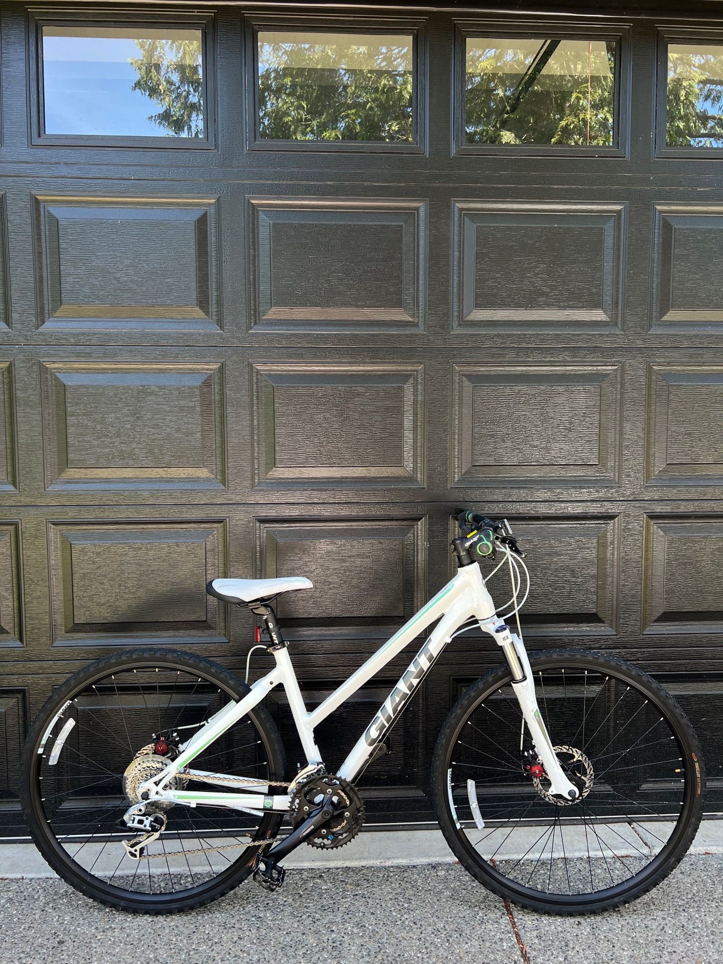 Giant roam W1 Hybrid Bike