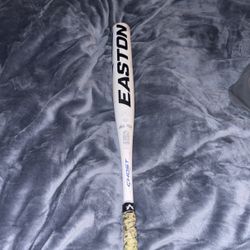 Easton Baseball Bat 