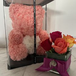 Rose Bear 🐻
