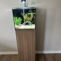 Tideline All In One 11.3 Gallon