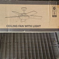 Ceiling Fan