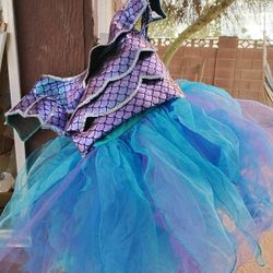 Mermaid Costume 