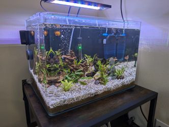 10 Gallon Fish Tank