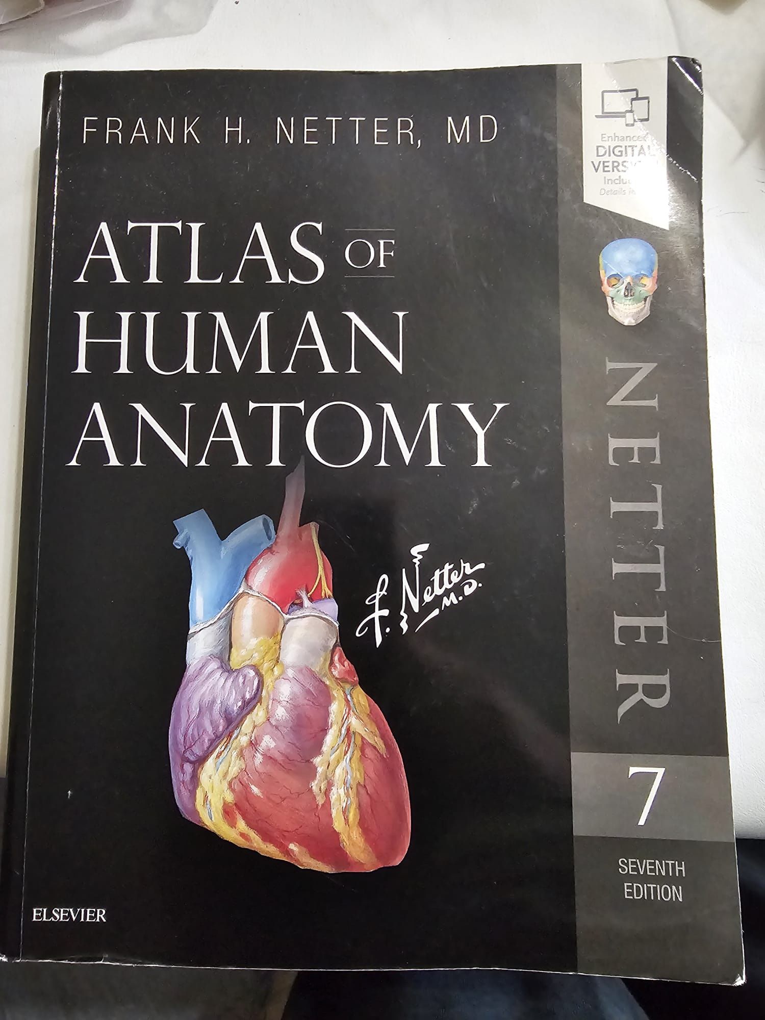 Atlas Of Human Anatomy by Frank H. Netter MD 7th Ed.