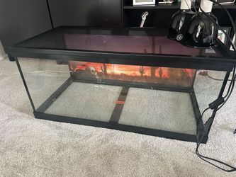 Glass Reptile Terrarium with Screen Lid (OBO)