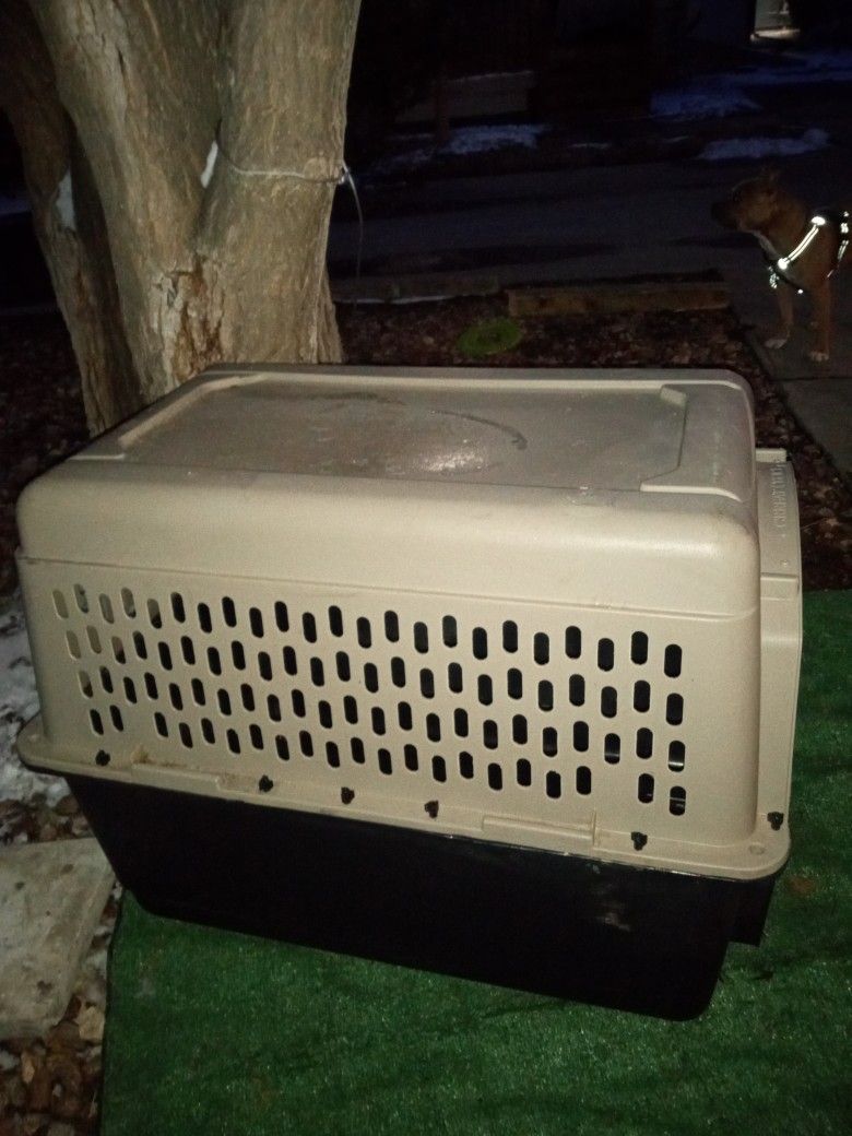 XL Dog Kennel Great Choice