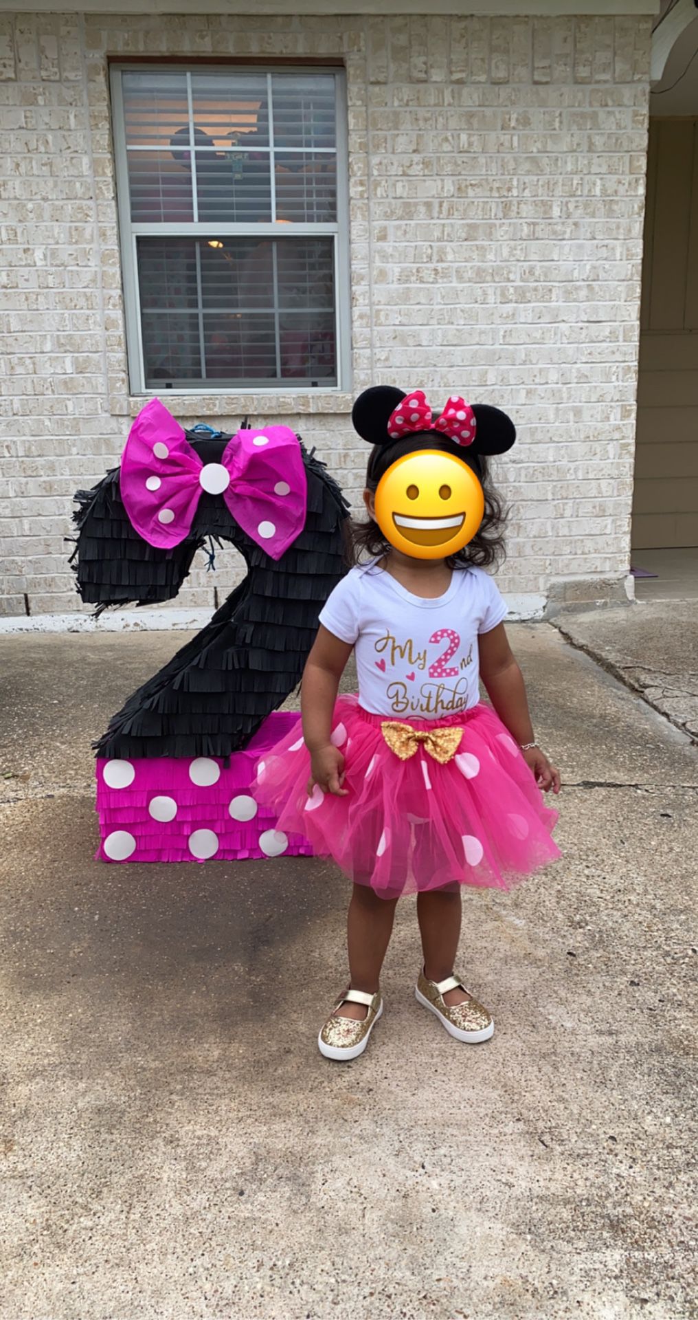 2nd Birthday Minnie Mouse Party SuOutfit, Cake Topper, Candle, HB Banner, Banner, Oh Twodles Big Balloons, 2 Minnie Big Balloons, Door Sign and More