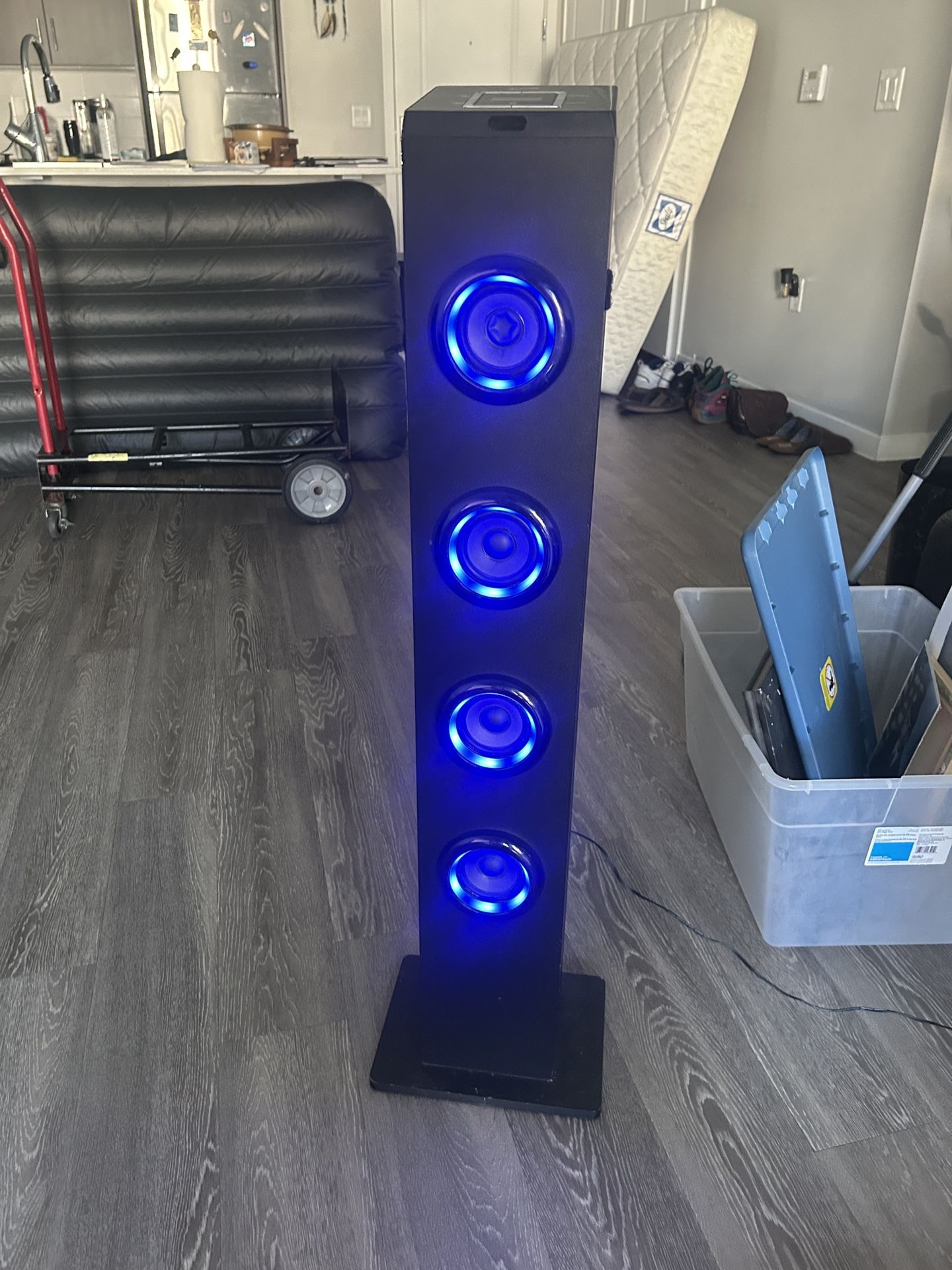 Speaker, Radio, Blue Tooth, Aux