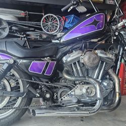 2006 Harley davidson Sportster 1200