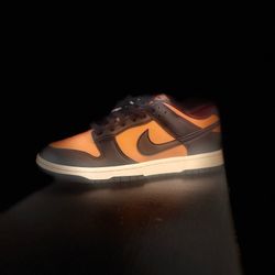 Nike Dunks 9Mens
