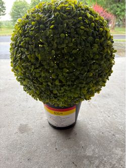 Topiary ball