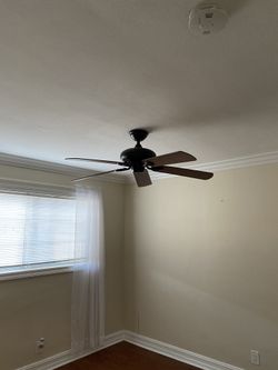 3 Fans- $50