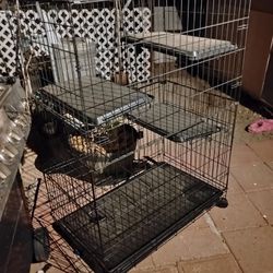 Pet Cage For Farrets , Rabbits, Gennie Pigs , Ect..