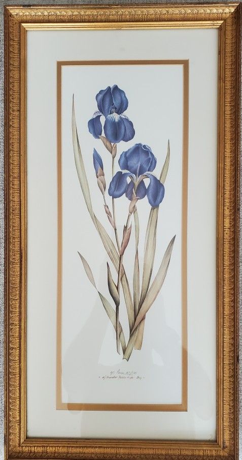Signed/numbered Nancy Shumaker Pallan lilies print
