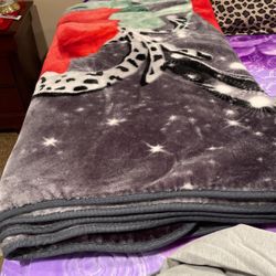 Nice Warm Blanket Used For 20.00
