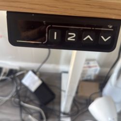 Electric Standing Desk 